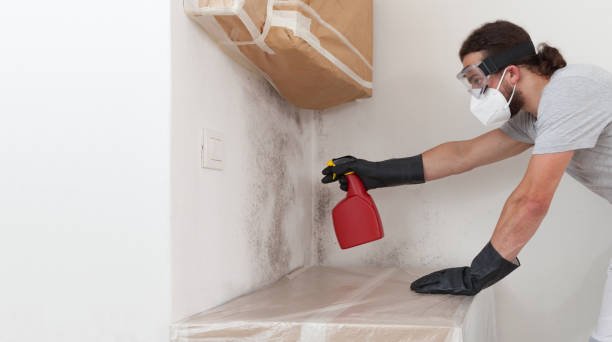 Professional Bathroom Mold Removal technician working in Wanaque, NJ